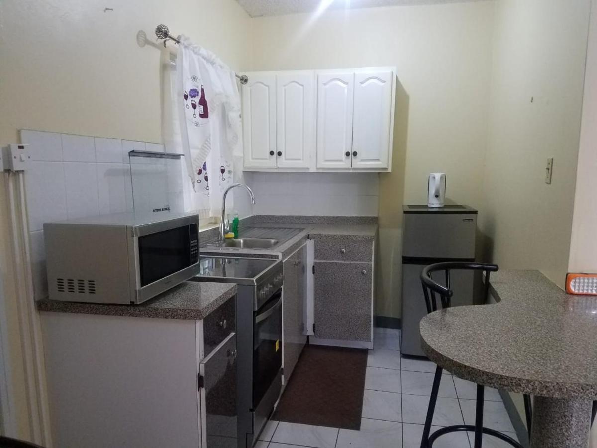 Unity Villa One Bedroom Apartment Close To Montego Bay And Beaches With Wifi Екстериор снимка